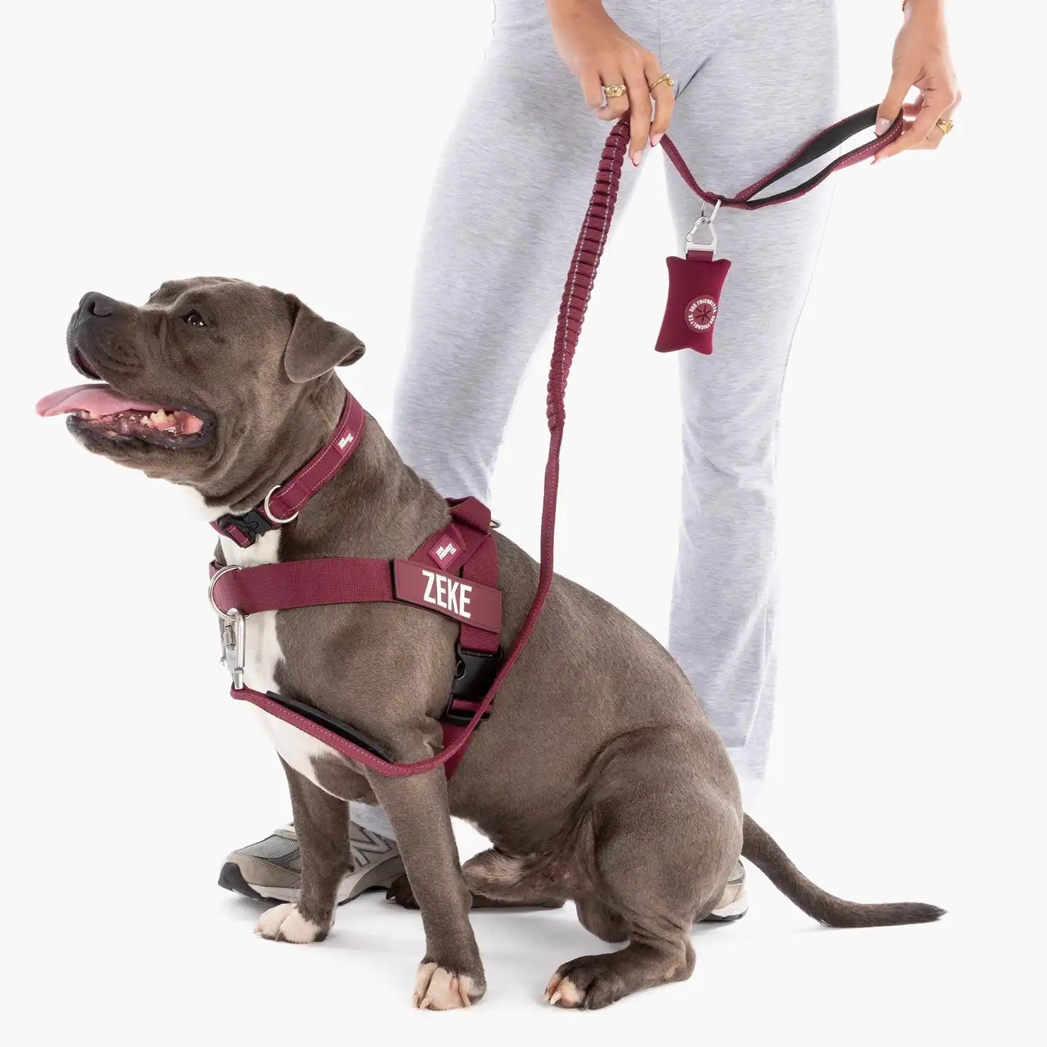 dogfriendlyco.it.com