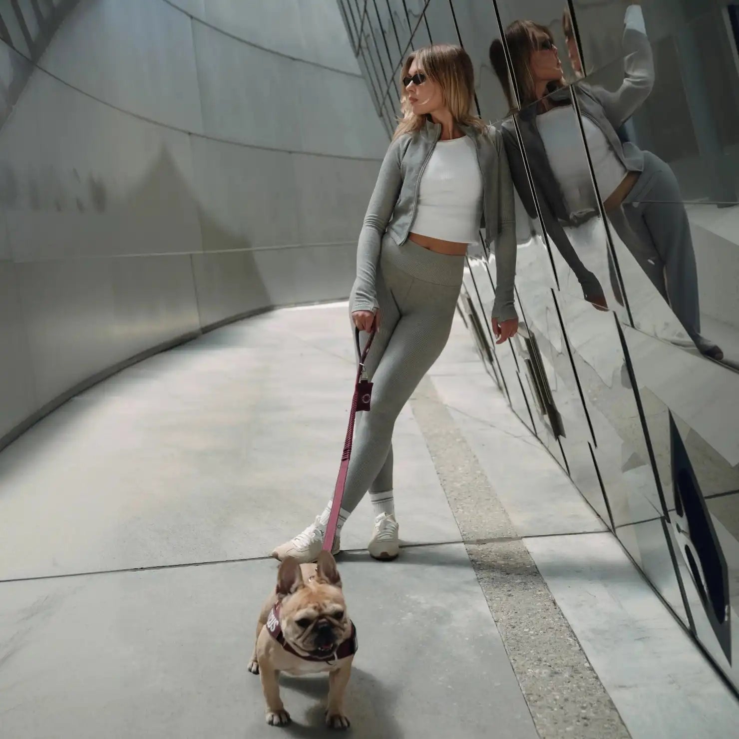 dogfriendlyco.it.com