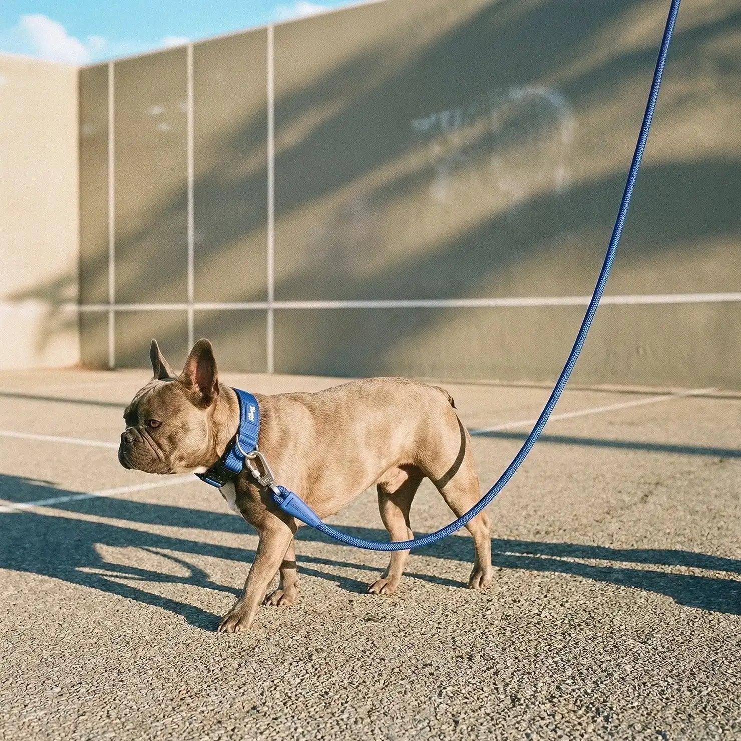 grunsonline.it.com