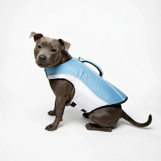 Dog Life Jacket