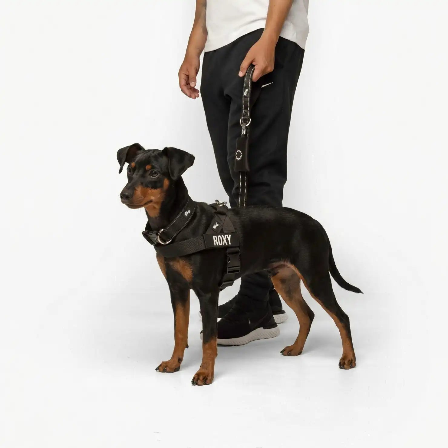 dogfriendlyco.it.com