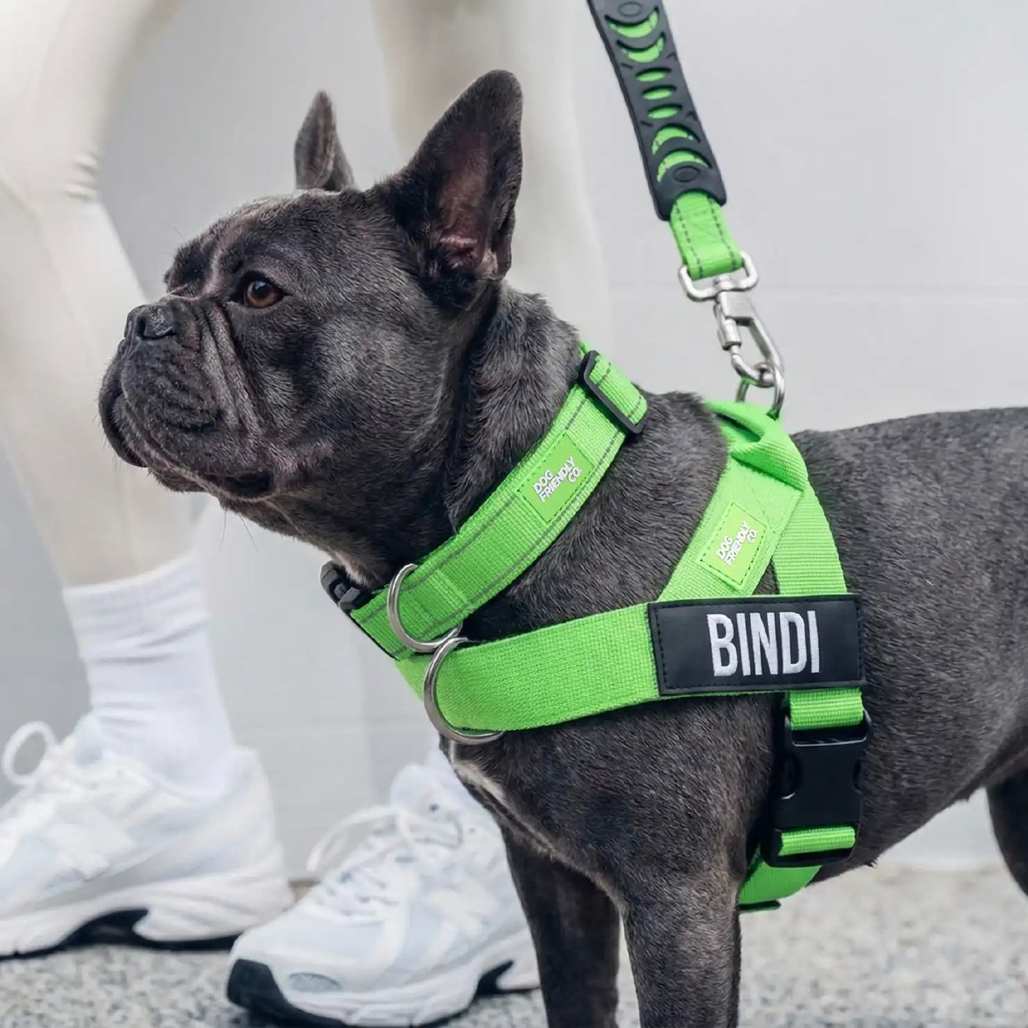 grunsonline.it.com