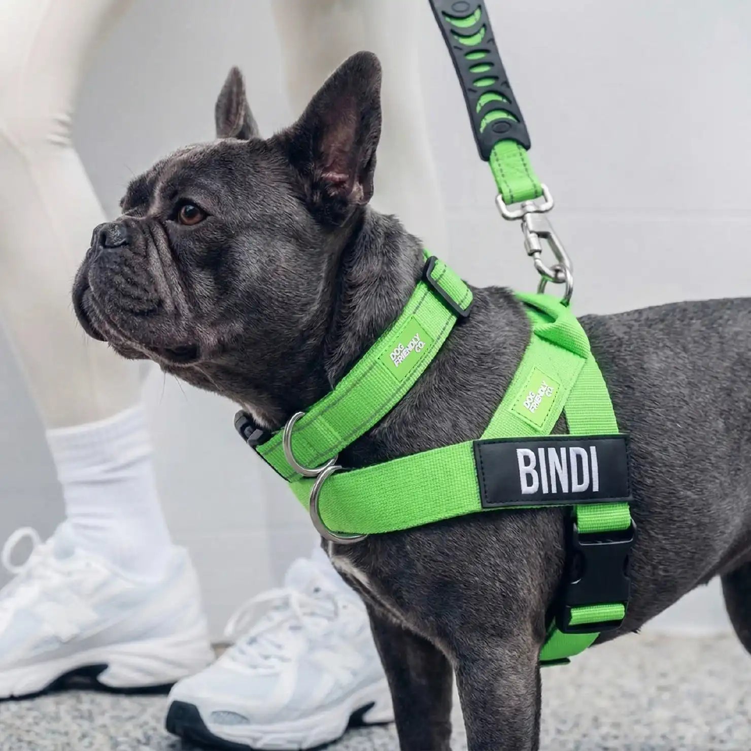 grunsonline.it.com