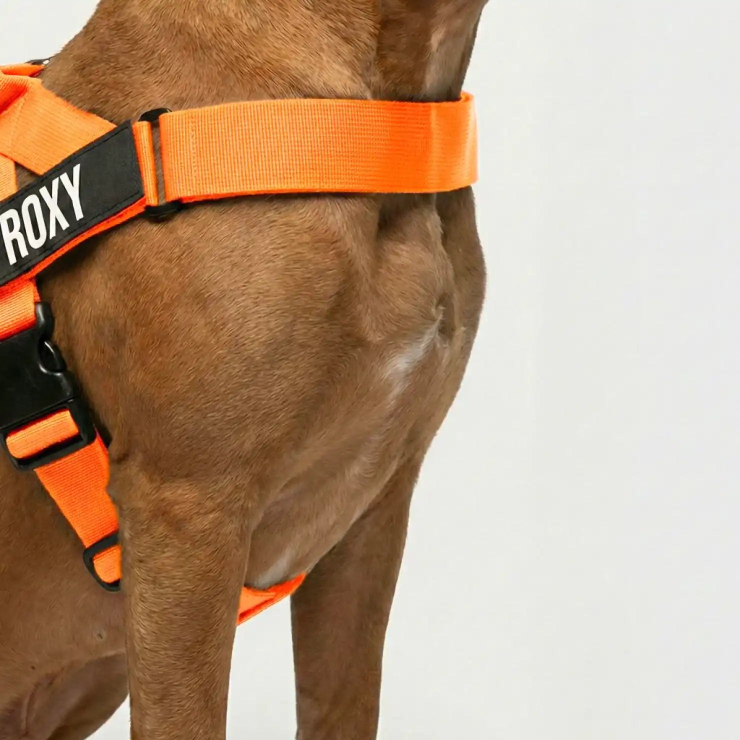 grunsonline.it.com