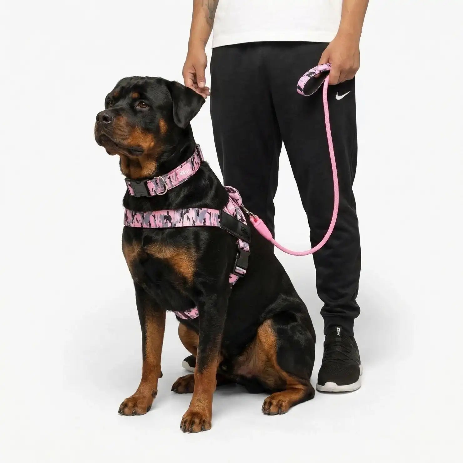 grunsonline.it.com