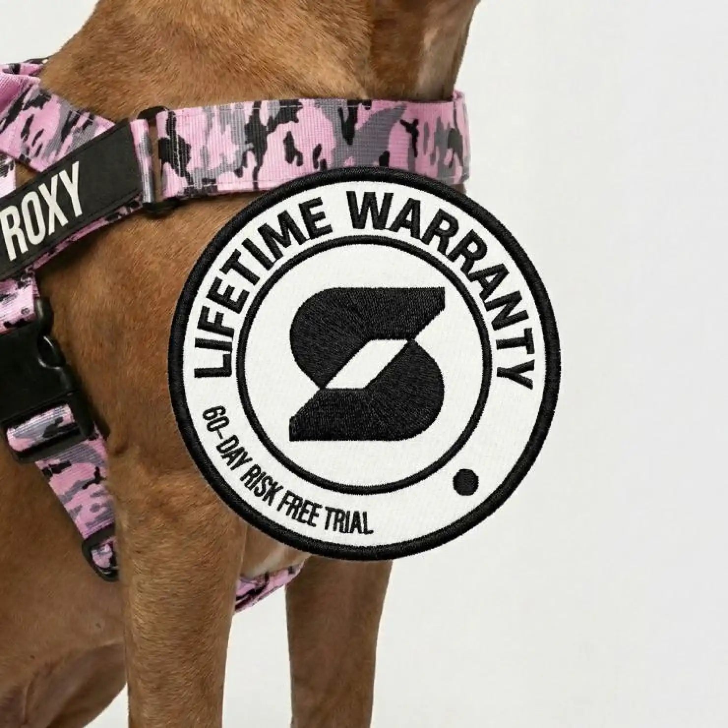 grunsonline.it.com