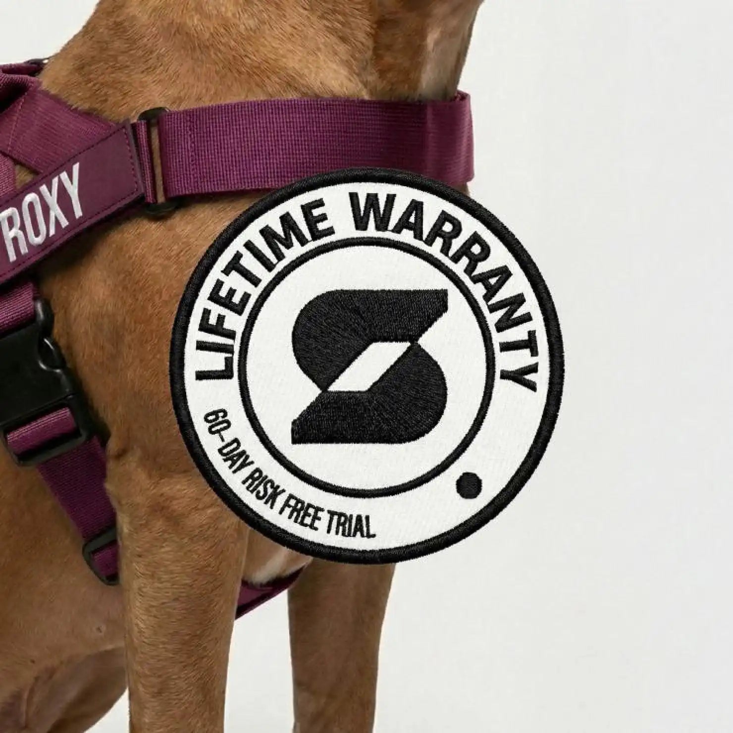 grunsonline.it.com