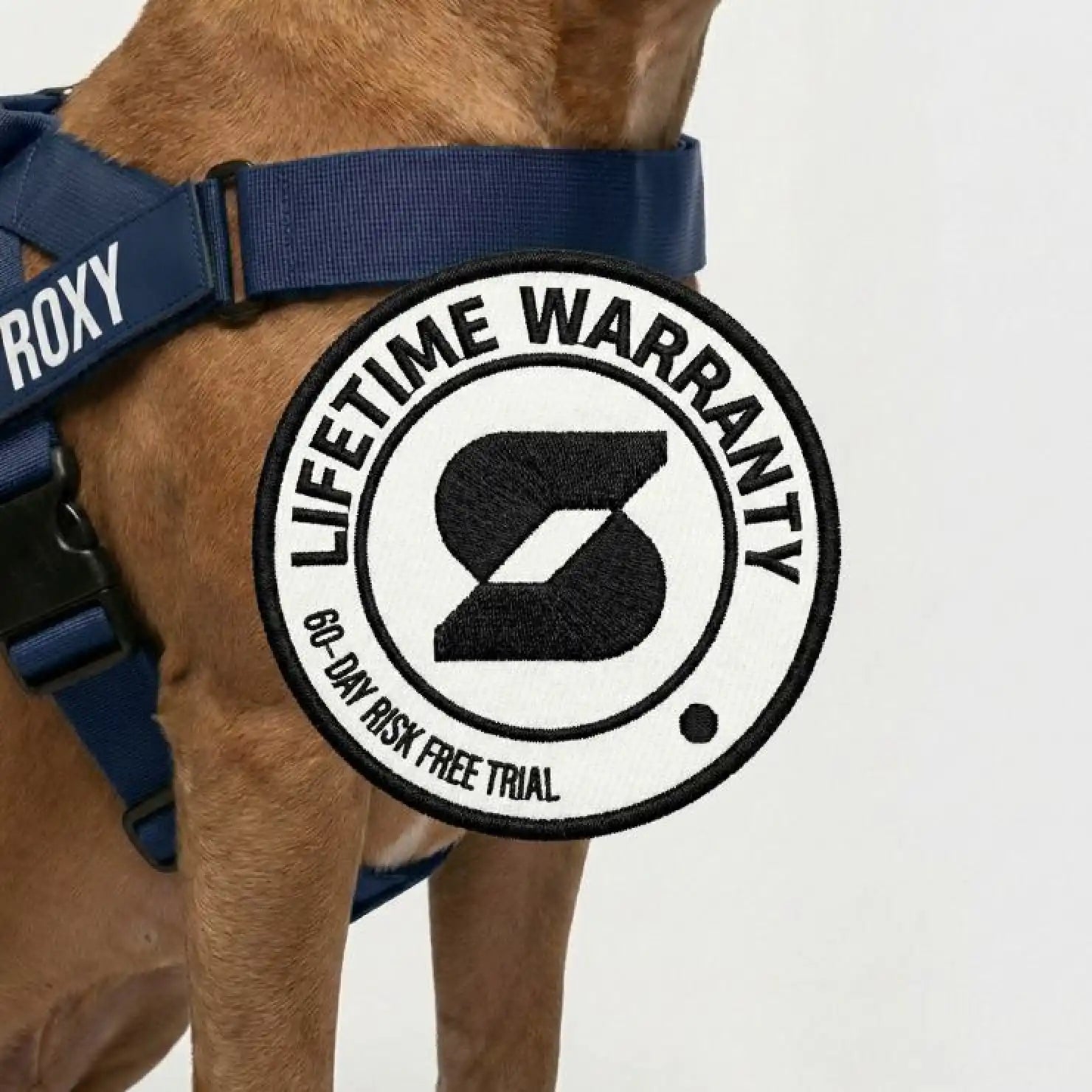 grunsonline.it.com