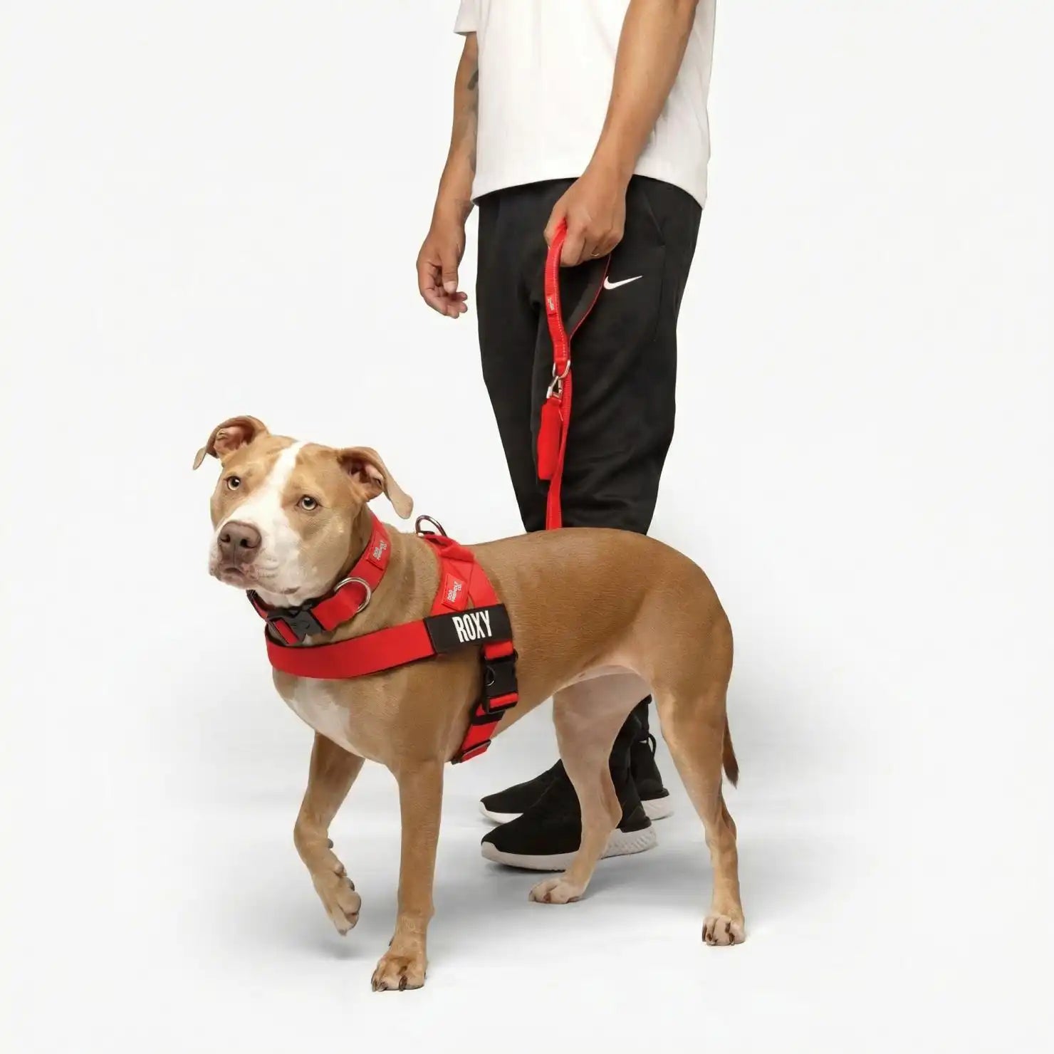 grunsonline.it.com