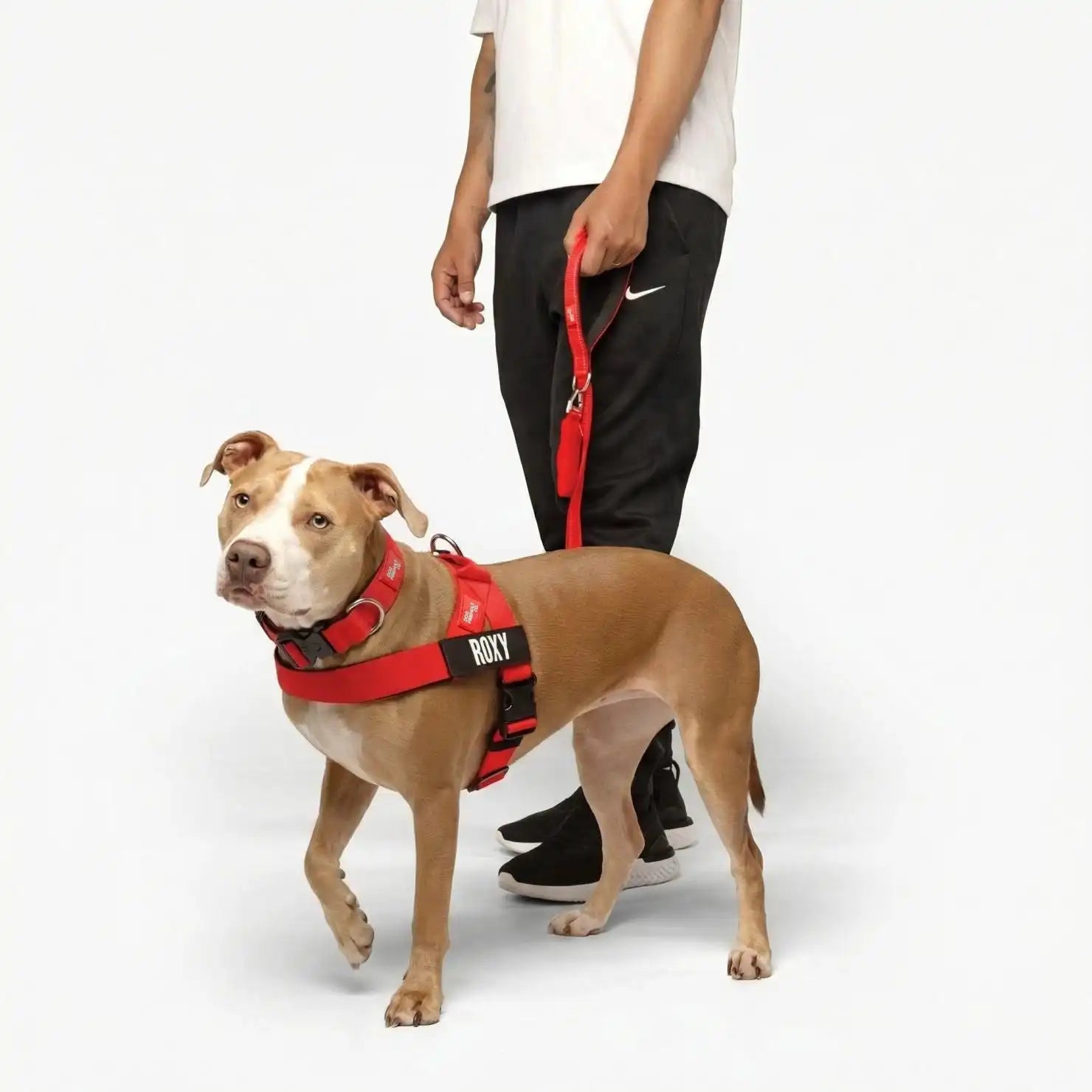 grunsonline.it.com