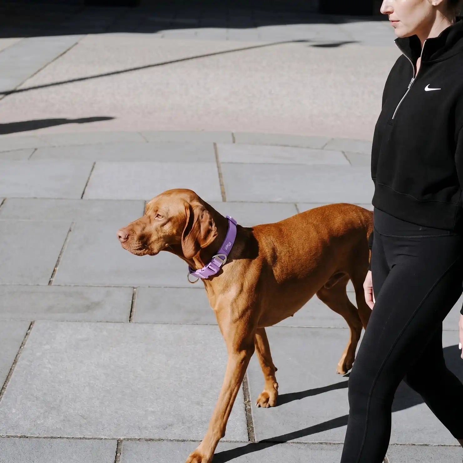 dogfriendlyco.it.com