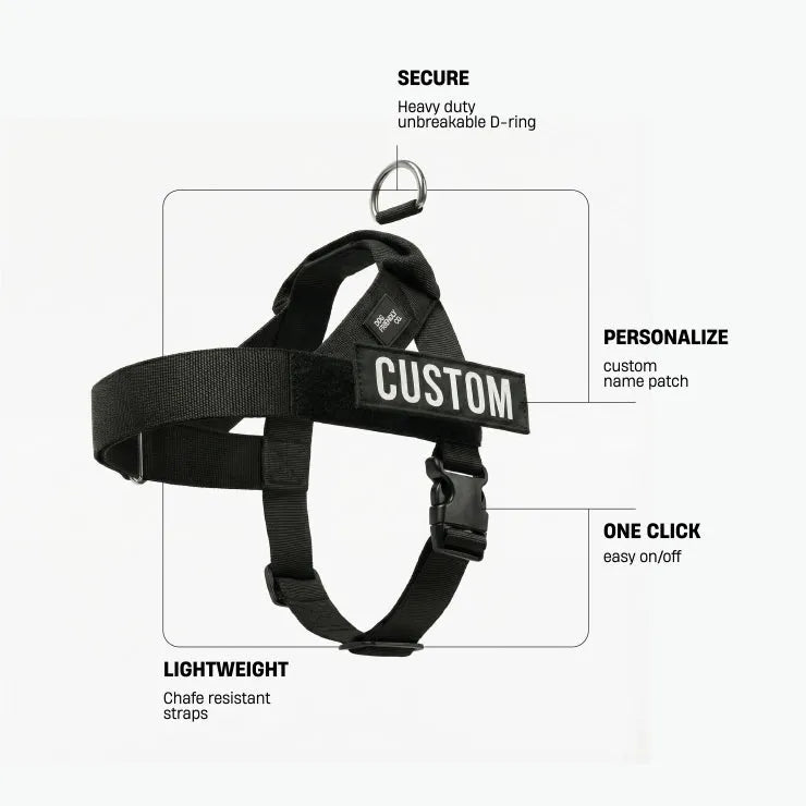 grunsonline.it.com