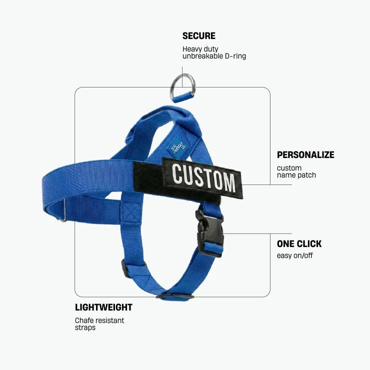 grunsonline.it.com