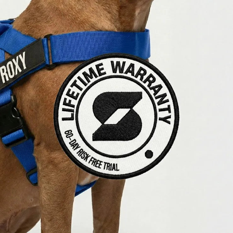 grunsonline.it.com