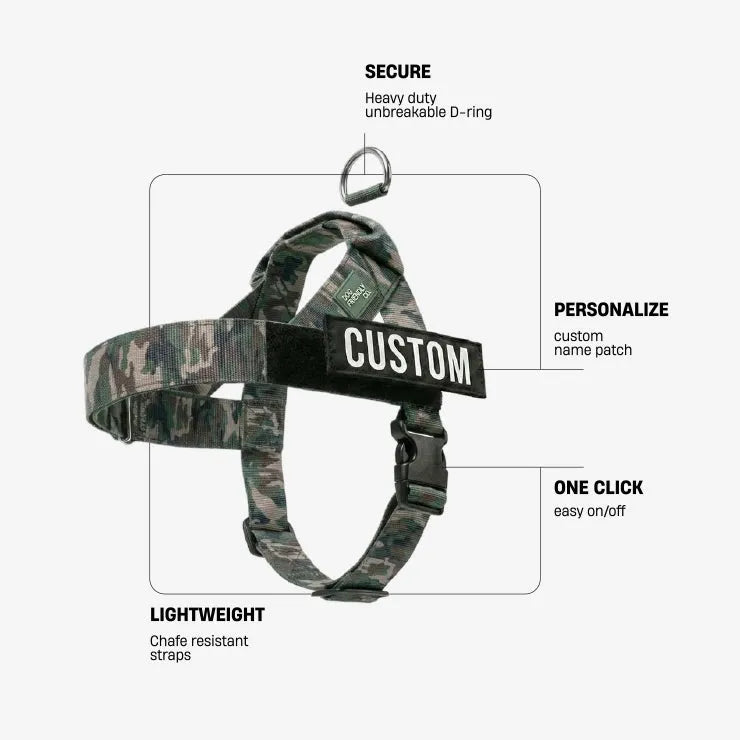 grunsonline.it.com