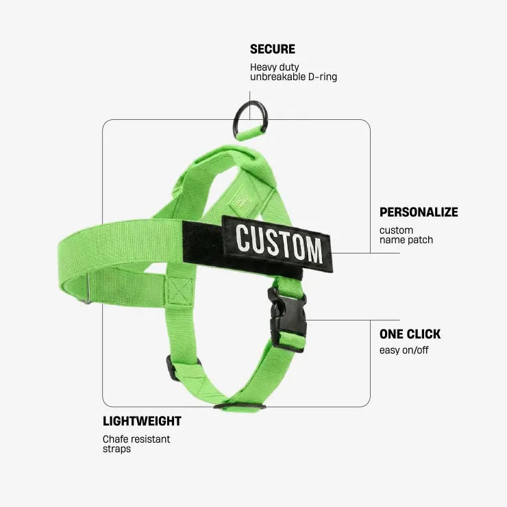 grunsonline.it.com
