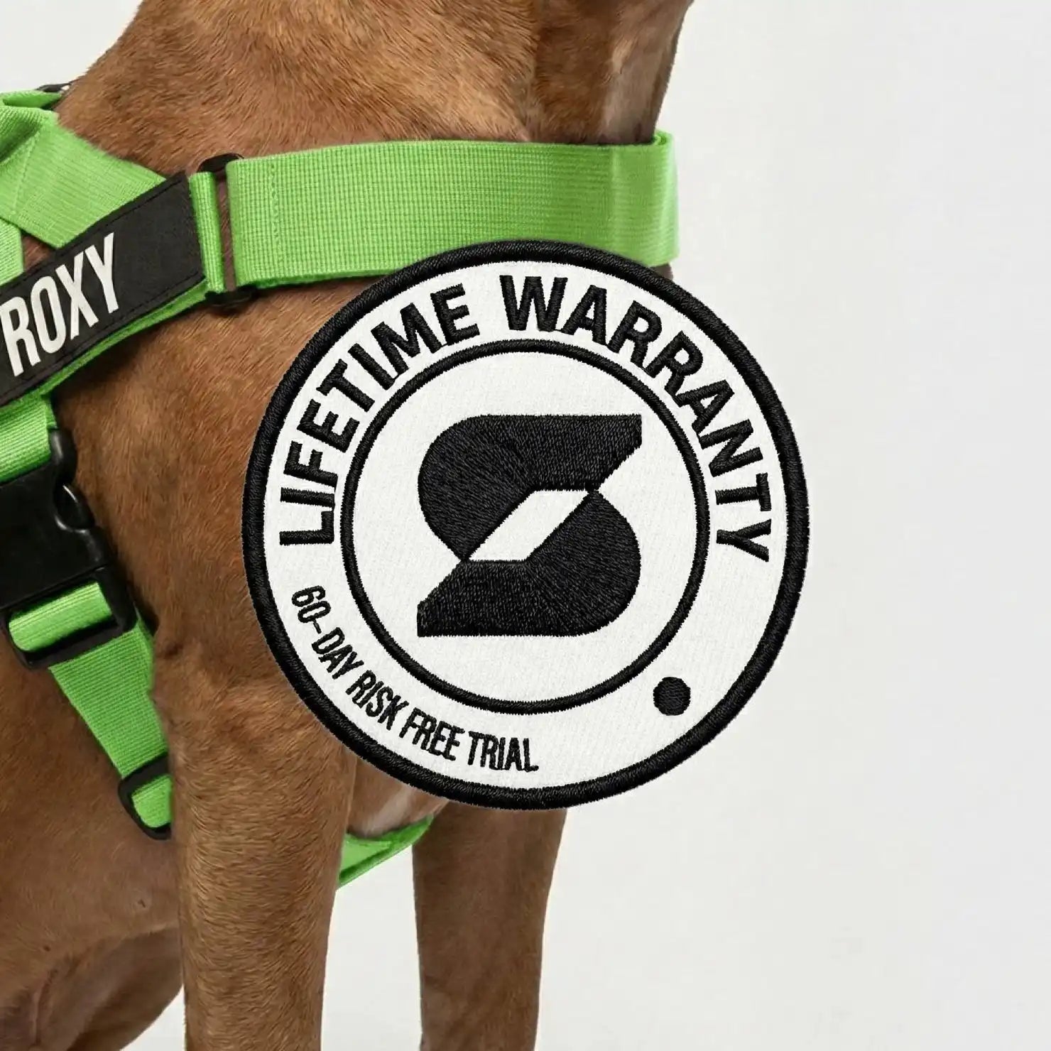 grunsonline.it.com