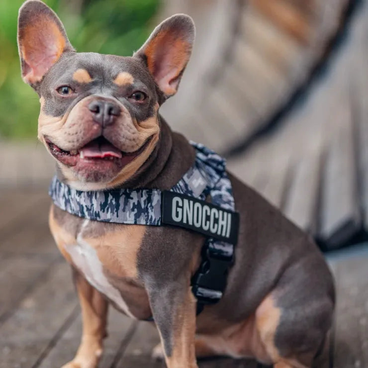 grunsonline.it.com