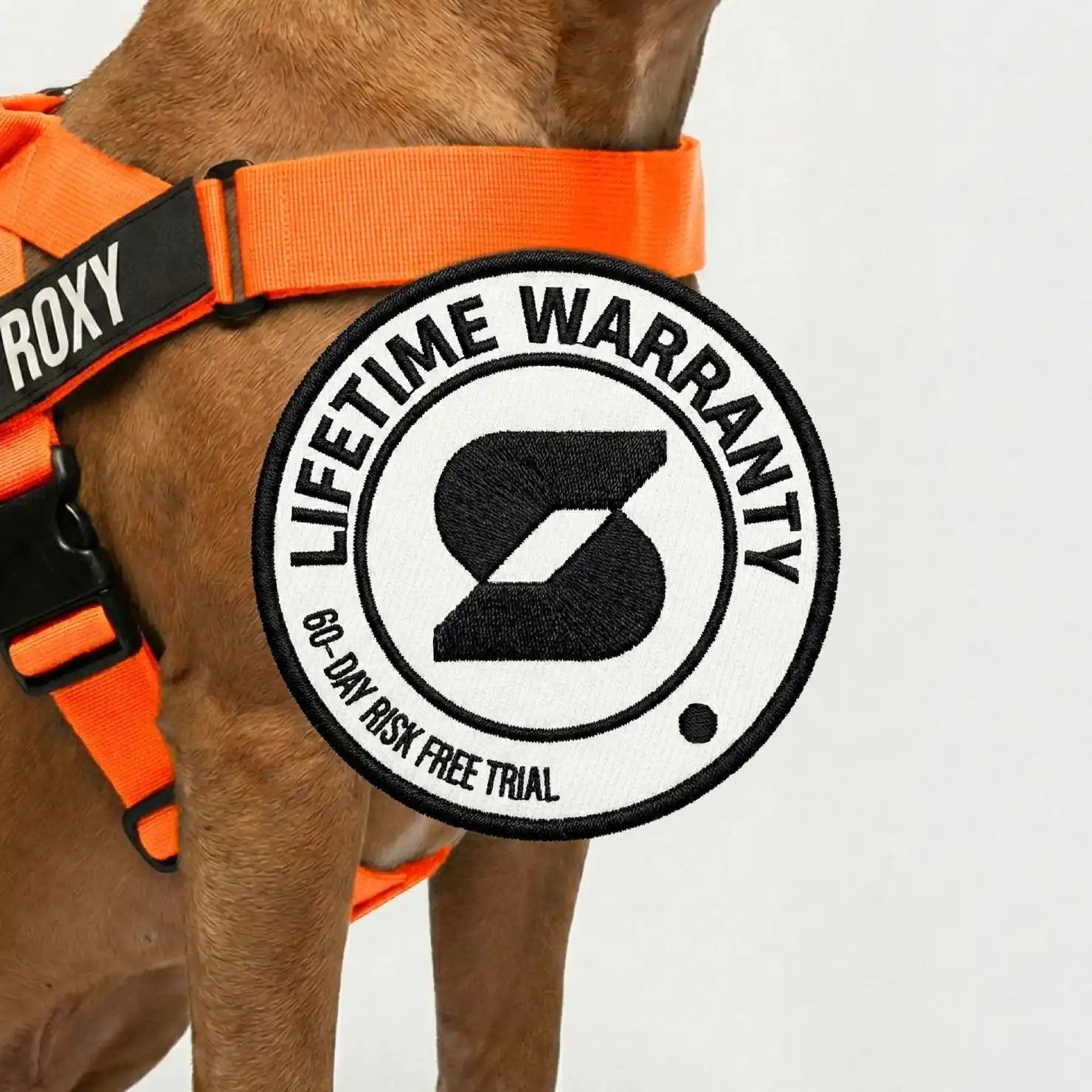 dogfriendlyco.it.com