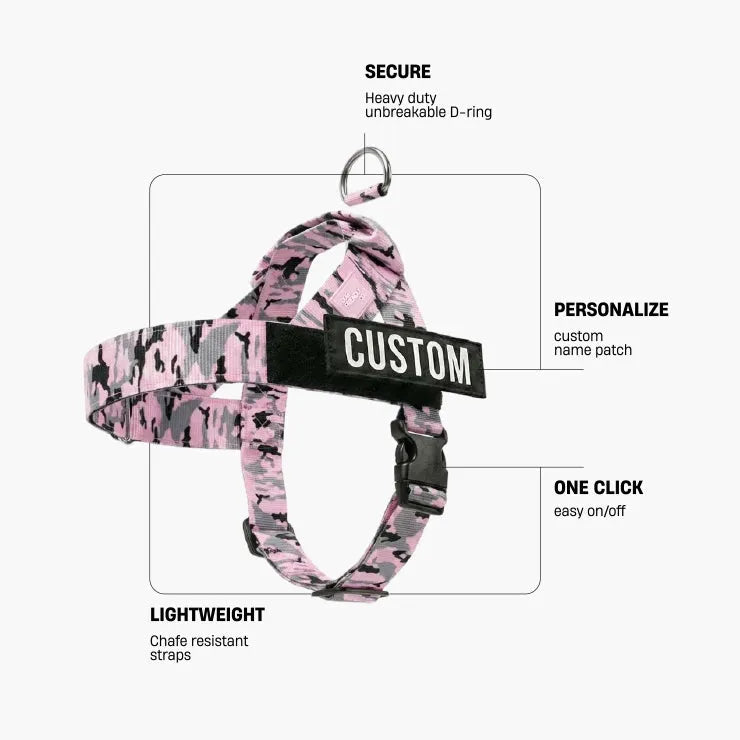 grunsonline.it.com
