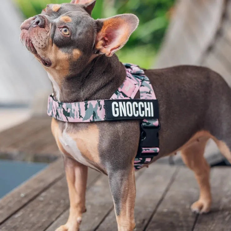 grunsonline.it.com