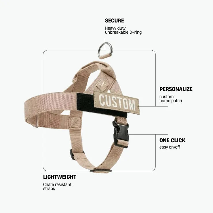 grunsonline.it.com