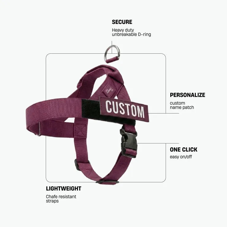 grunsonline.it.com