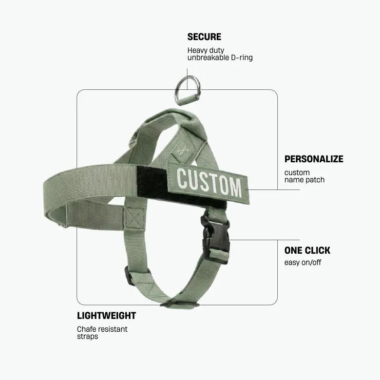 grunsonline.it.com
