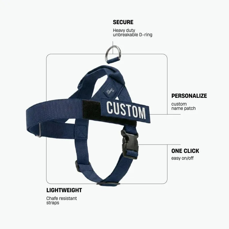 grunsonline.it.com