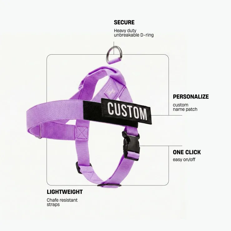 grunsonline.it.com