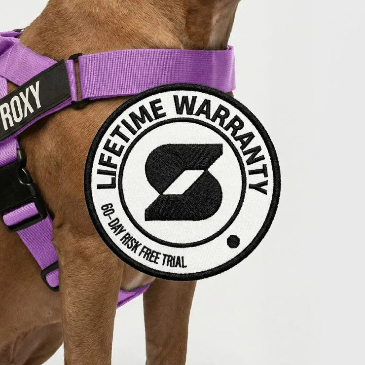grunsonline.it.com