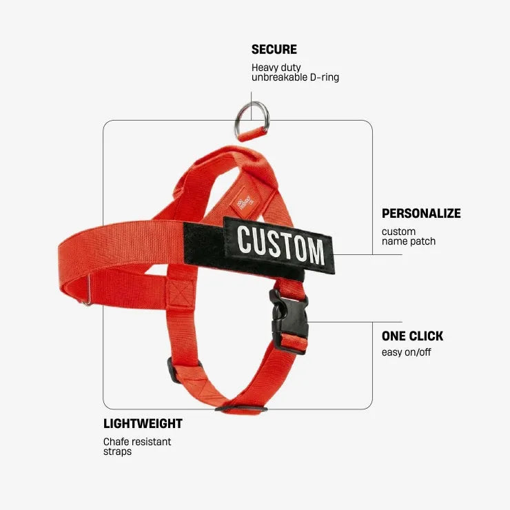 grunsonline.it.com