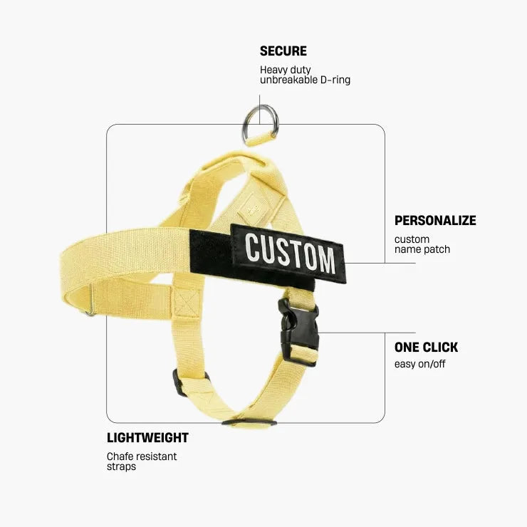 grunsonline.it.com