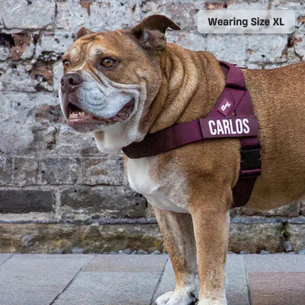 grunsonline.it.com