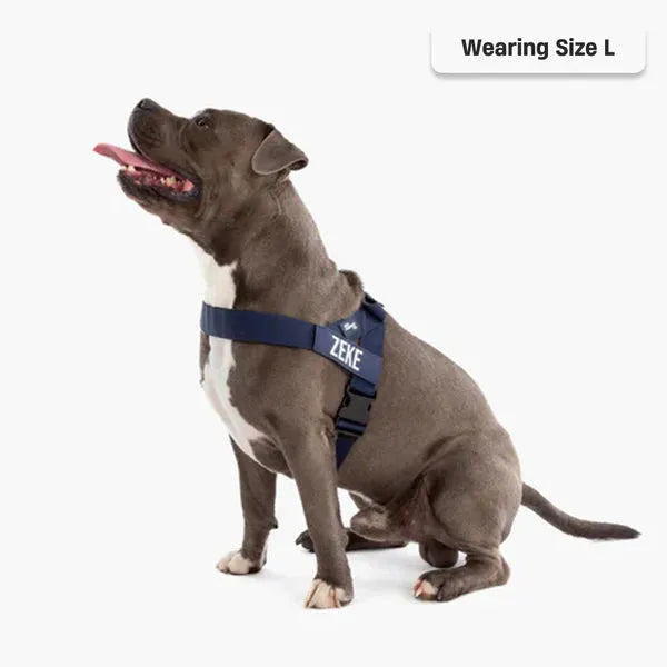 grunsonline.it.com