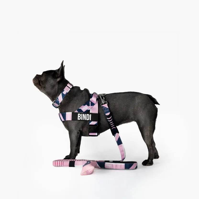 grunsonline.it.com