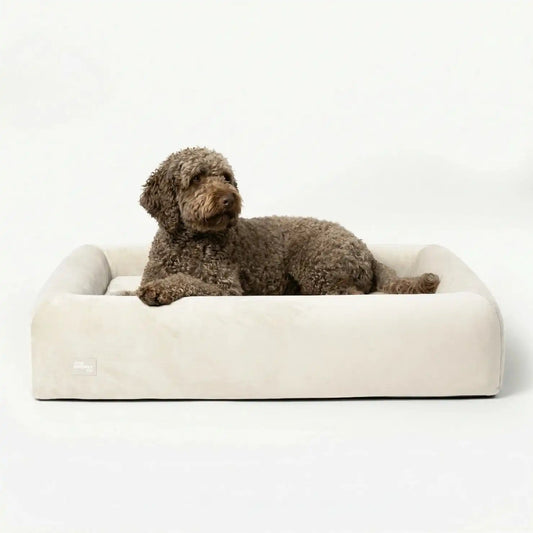 Premium Orthopedic Memory Foam Dog Bed - Beige (Medium) (LP)