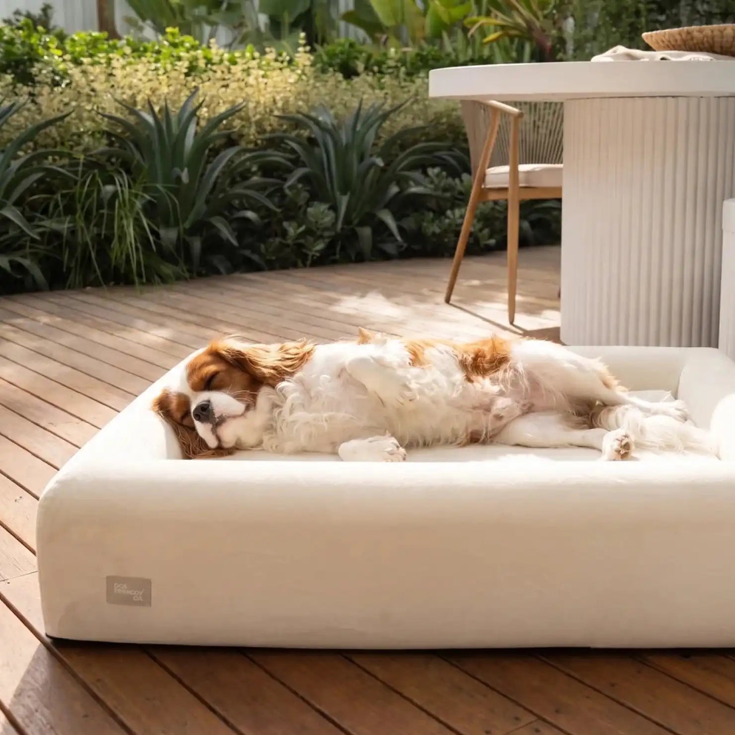 dogfriendlyco.it.com