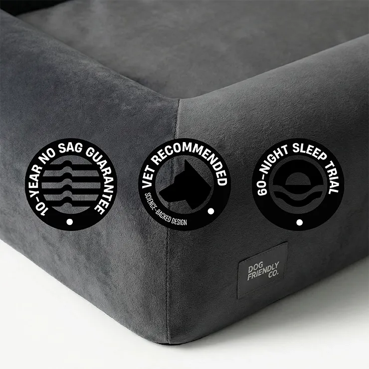grunsonline.it.com