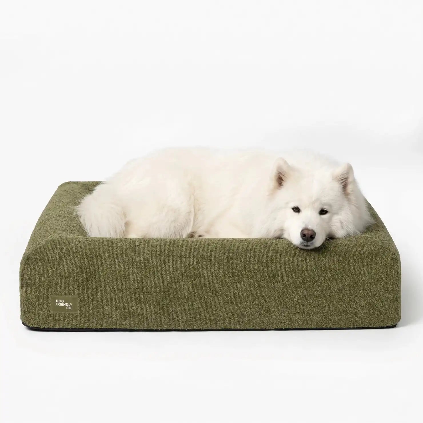 dogfriendlyco.it.com