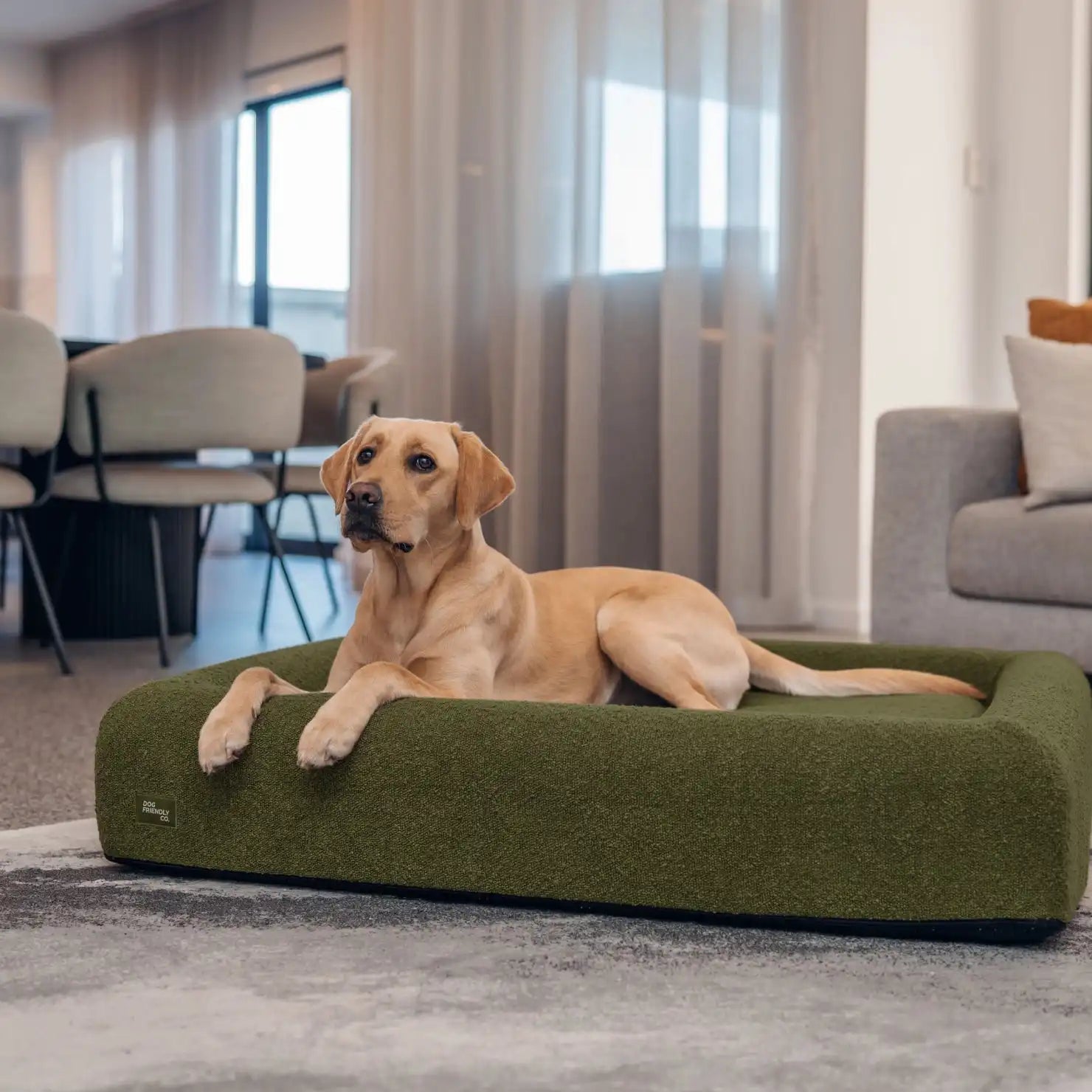 dogfriendlyco.it.com