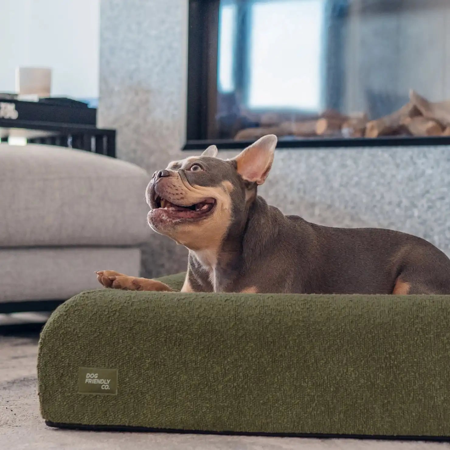 dogfriendlyco.it.com