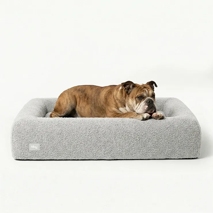 dogfriendlyco.it.com