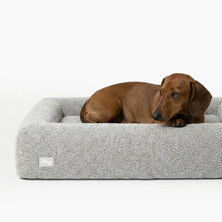 dogfriendlyco.it.com