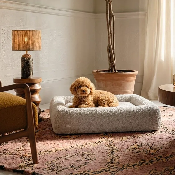 dogfriendlyco.it.com
