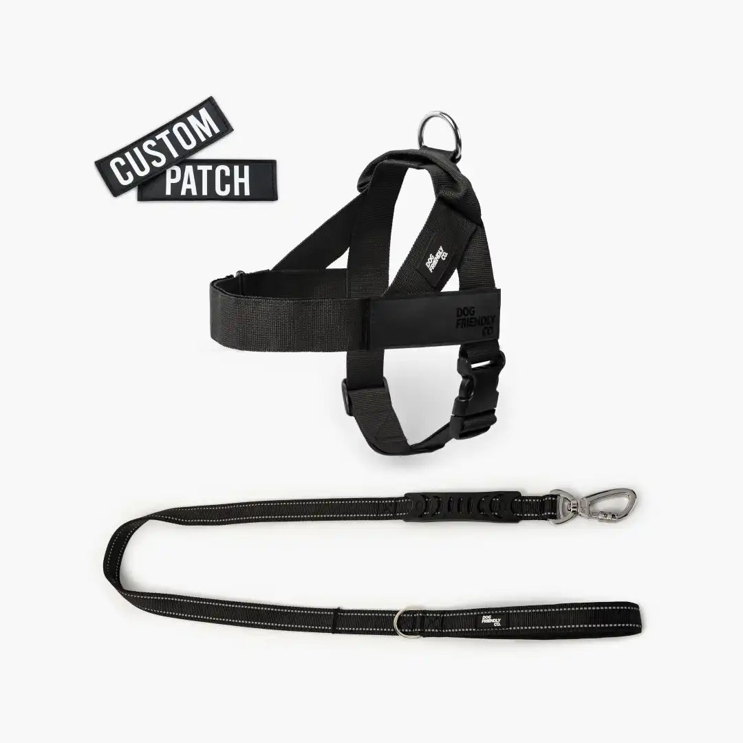 dogfriendlyco.it.com