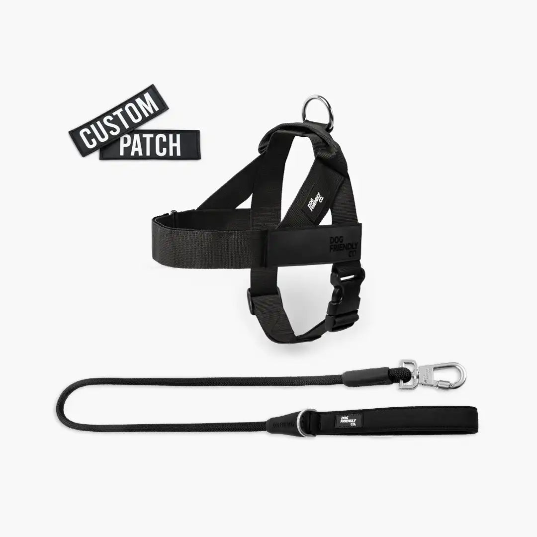 dogfriendlyco.it.com