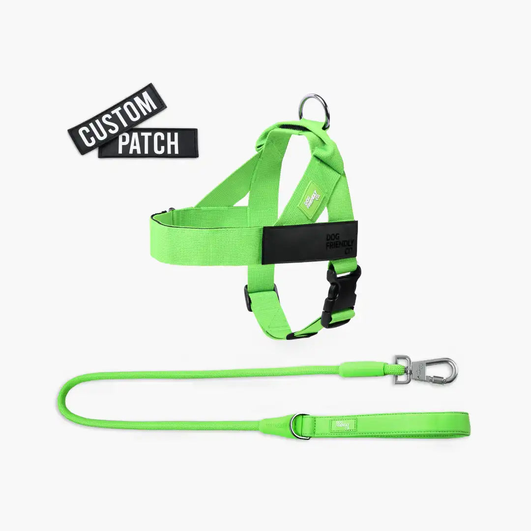 dogfriendlyco.it.com