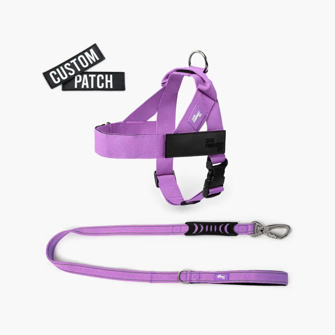 grunsonline.it.com