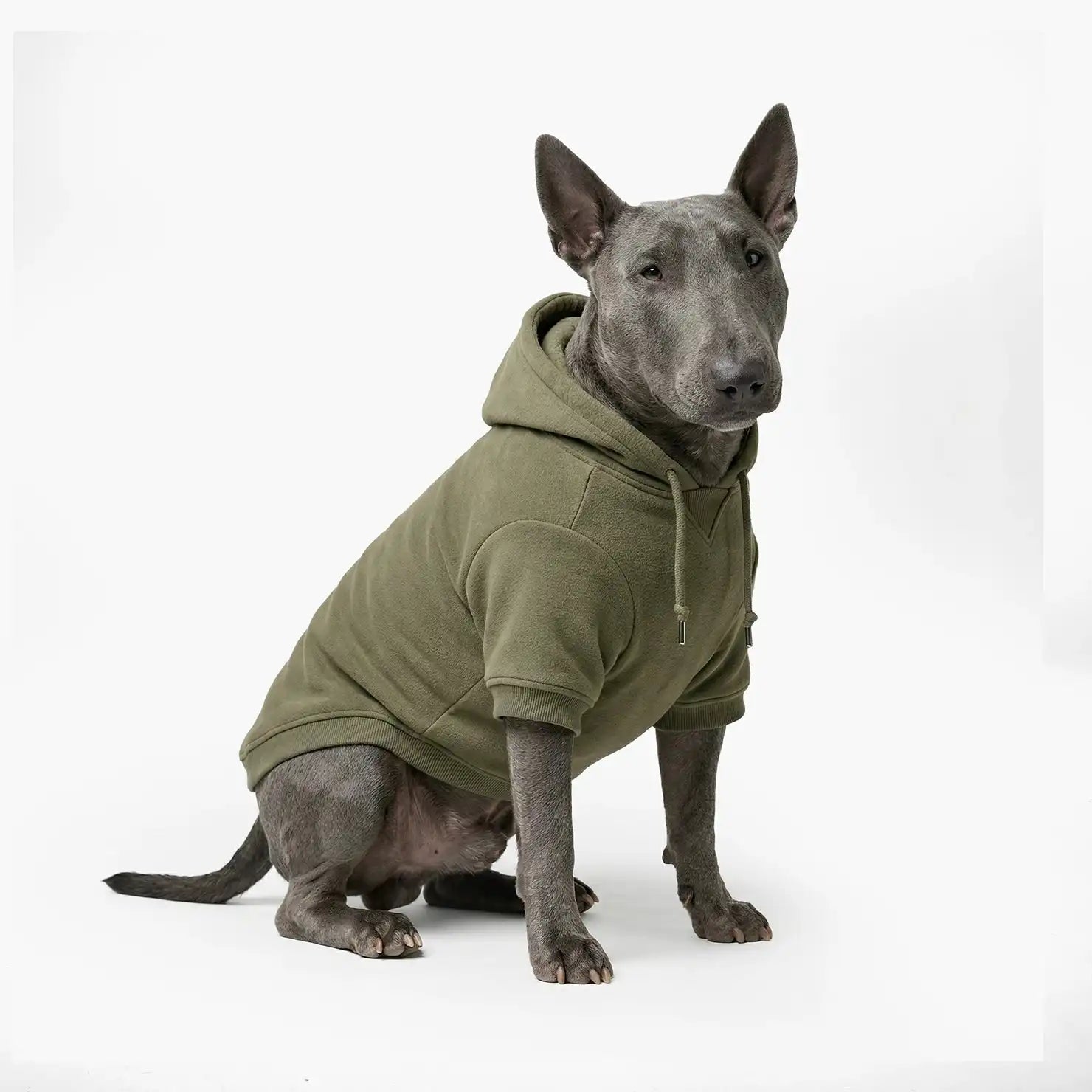 grunsonline.it.com